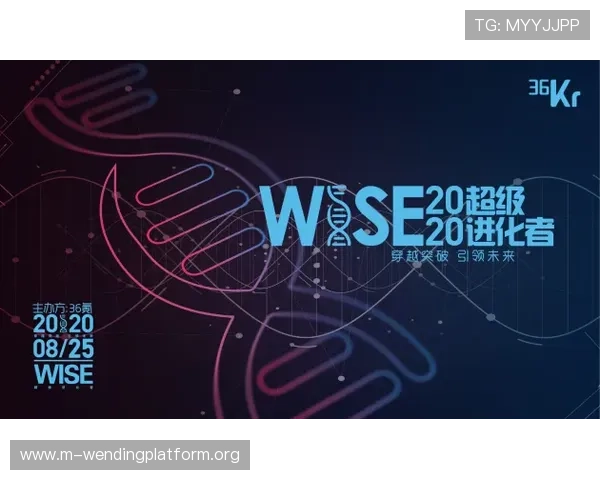 问鼎国际官网版高端玩家必备攻略：团队合作与策略布局的全面提升方案